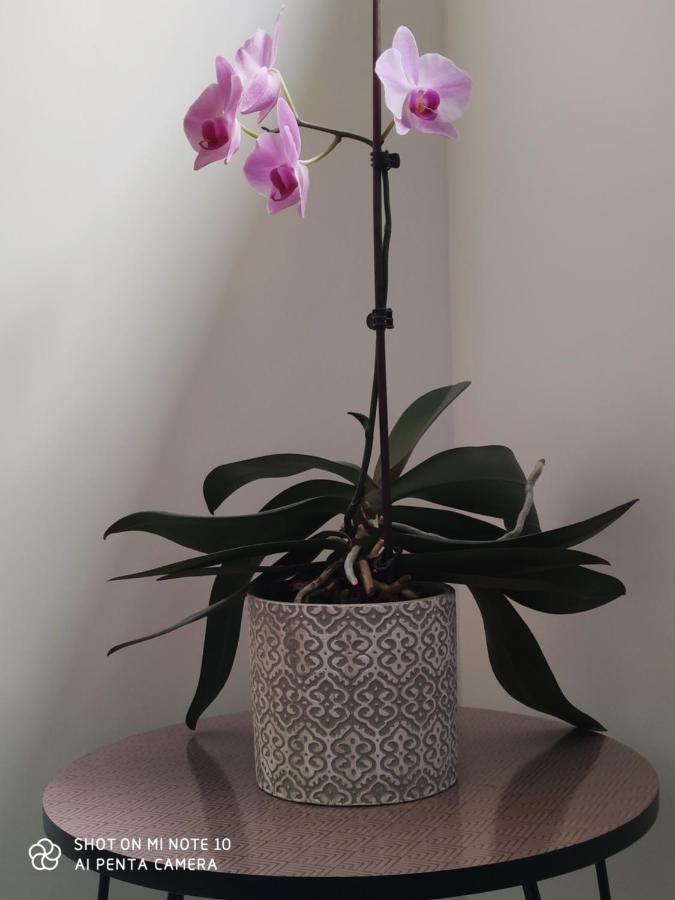 Chambre D'Hotes Du Muguet Avec Sdb Privative Le Mans Bagian luar foto